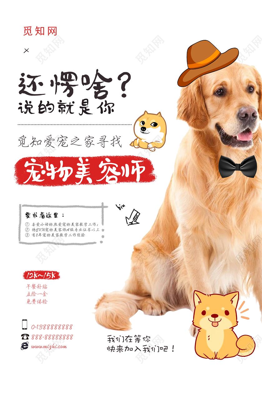 白色简约活泼宠物美容师海报美容师招聘
