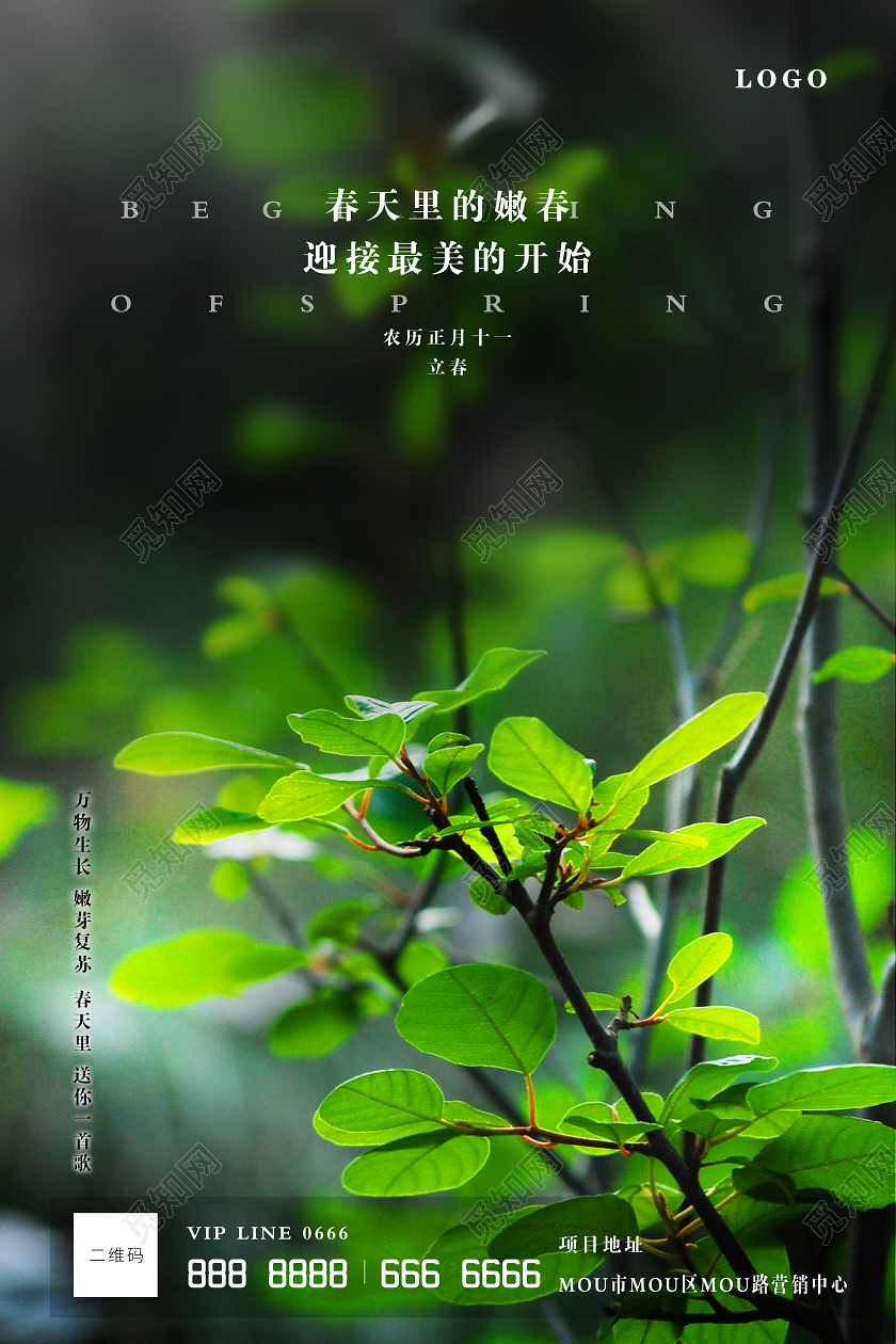 绿色清新中国传统节气立春宣传海报二十四节气立春