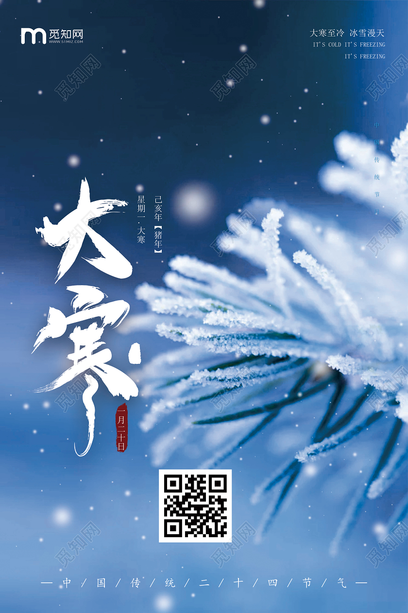 2020年简约风格蓝色背景结霜中国传统二十四节气大寒宣传海报