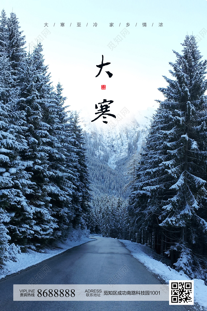 蓝色简约大寒节气宣传海报