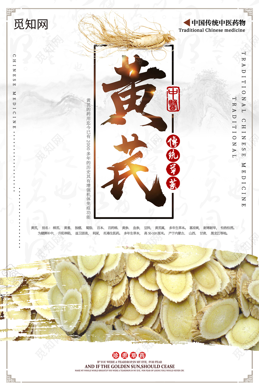 浅色中国风中草药黄芪海报