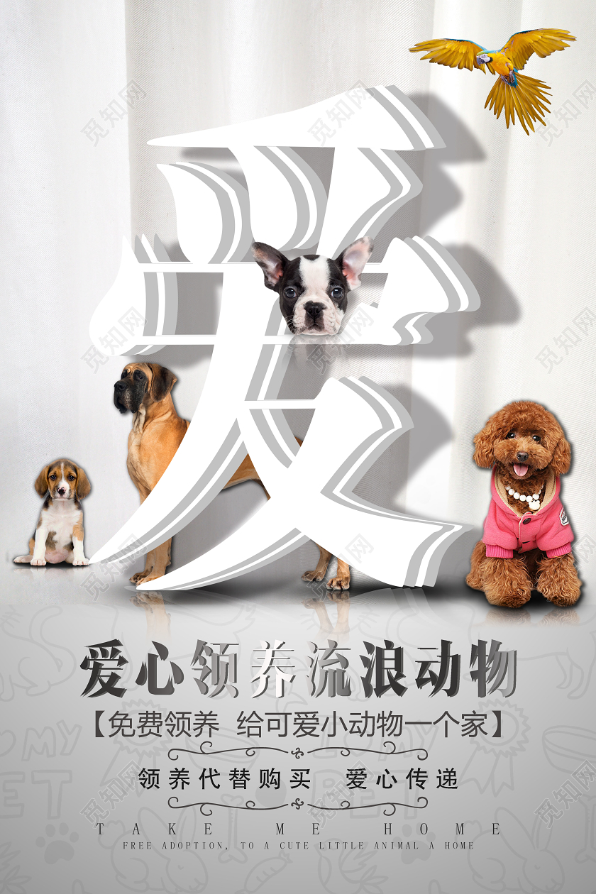 白色简约风格爱心领养流浪动物海报宣传设计