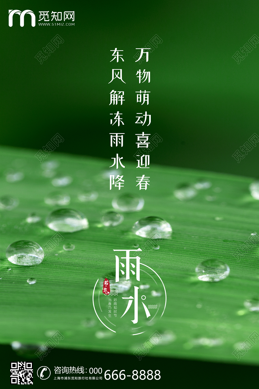 创意绿色清新水珠传统二十四节气雨水节日宣传海报