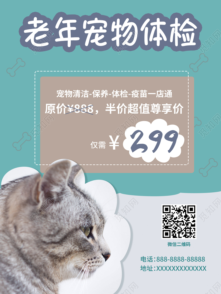 绿色简约老年宠物体检老年宠物宣传海报