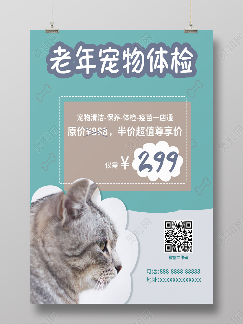 绿色简约老年宠物体检老年宠物宣传海报