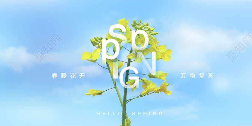 简约唯美春暖花开万物复苏春天宣传展板设计