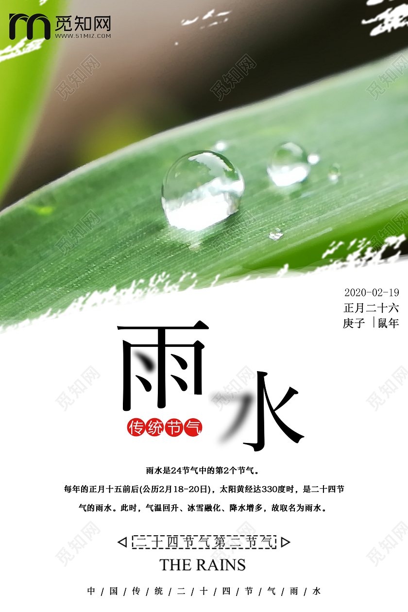 简约原创创意传统二十四节气之雨水