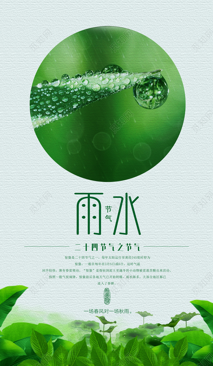 绿色简约二十四24节气之雨水手机UI海报二十四节气雨水