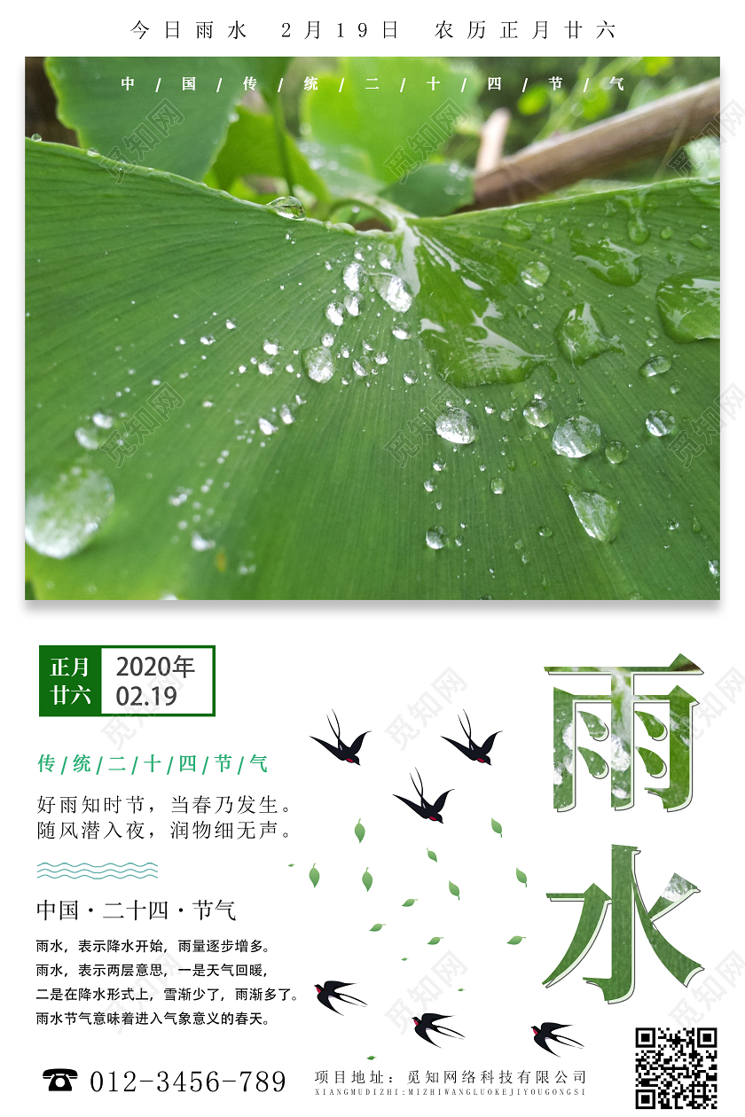 简约原创传统二十四节气之雨水