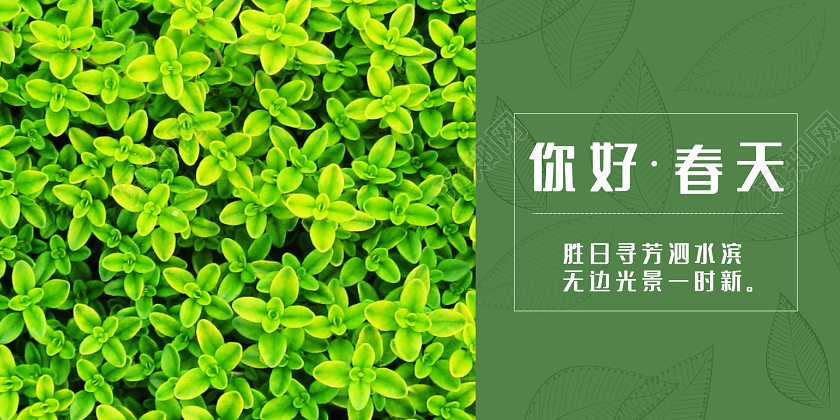 简约大气绿色系你好春天美丽的春天宣传展板