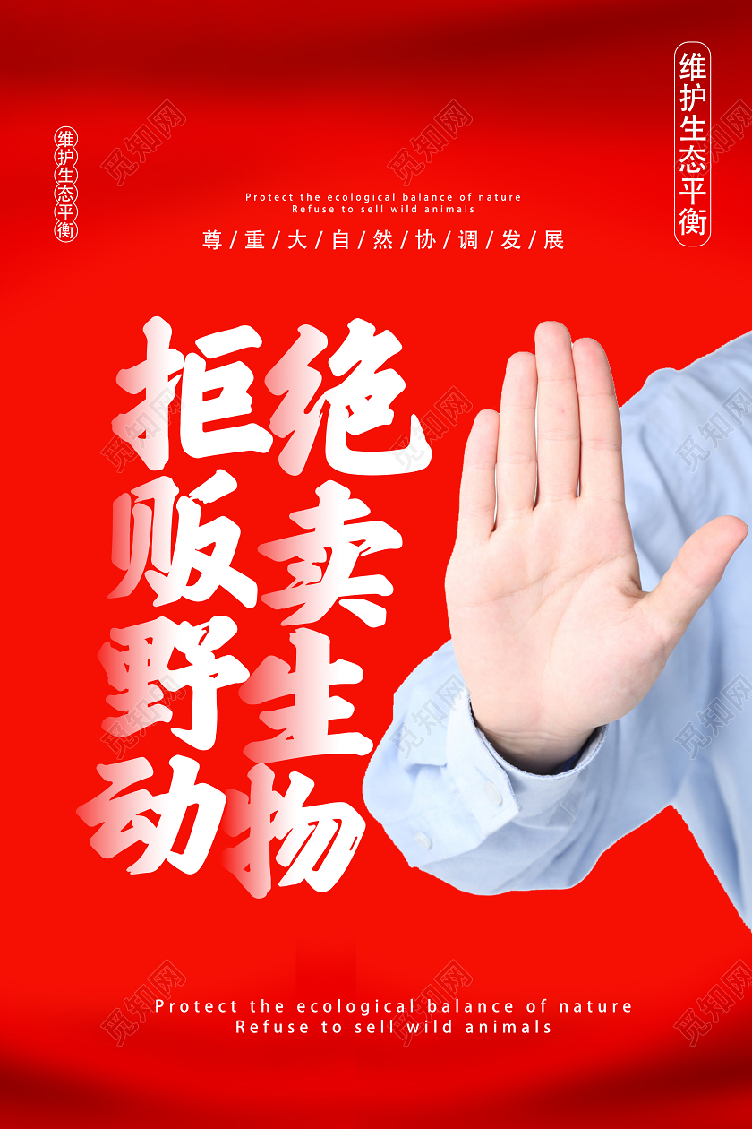 红色简约拒绝贩卖野生动物疫情病毒拒绝野味拒绝野生动物海报