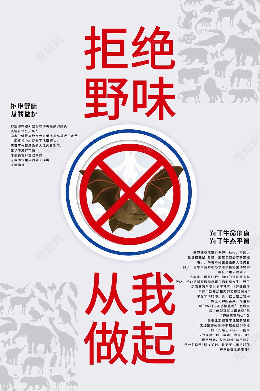 简约大气疫情病毒拒绝野味拒绝野生动物拒绝野味从我做起海报