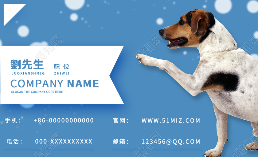 蓝色简约宠物名片