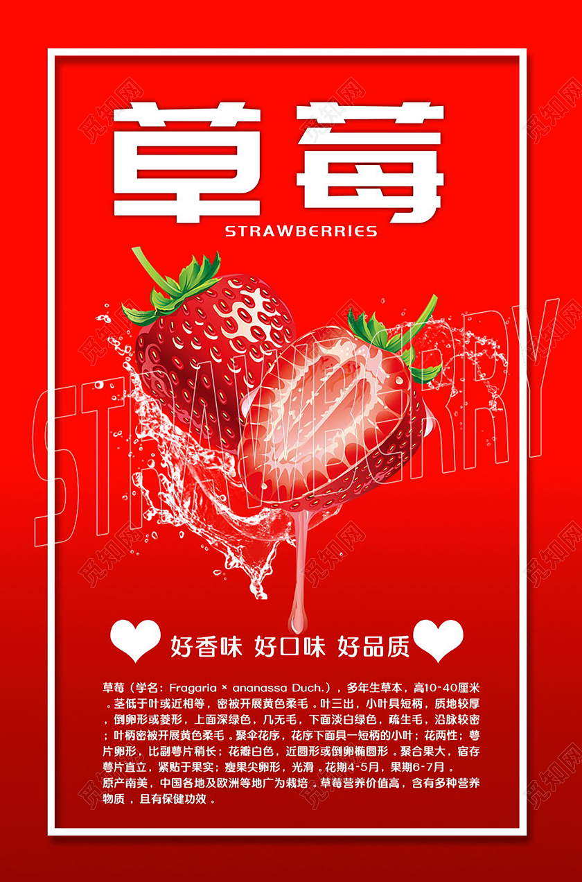 新鲜草莓采摘节水果生鲜宣传海报生鲜水果草莓