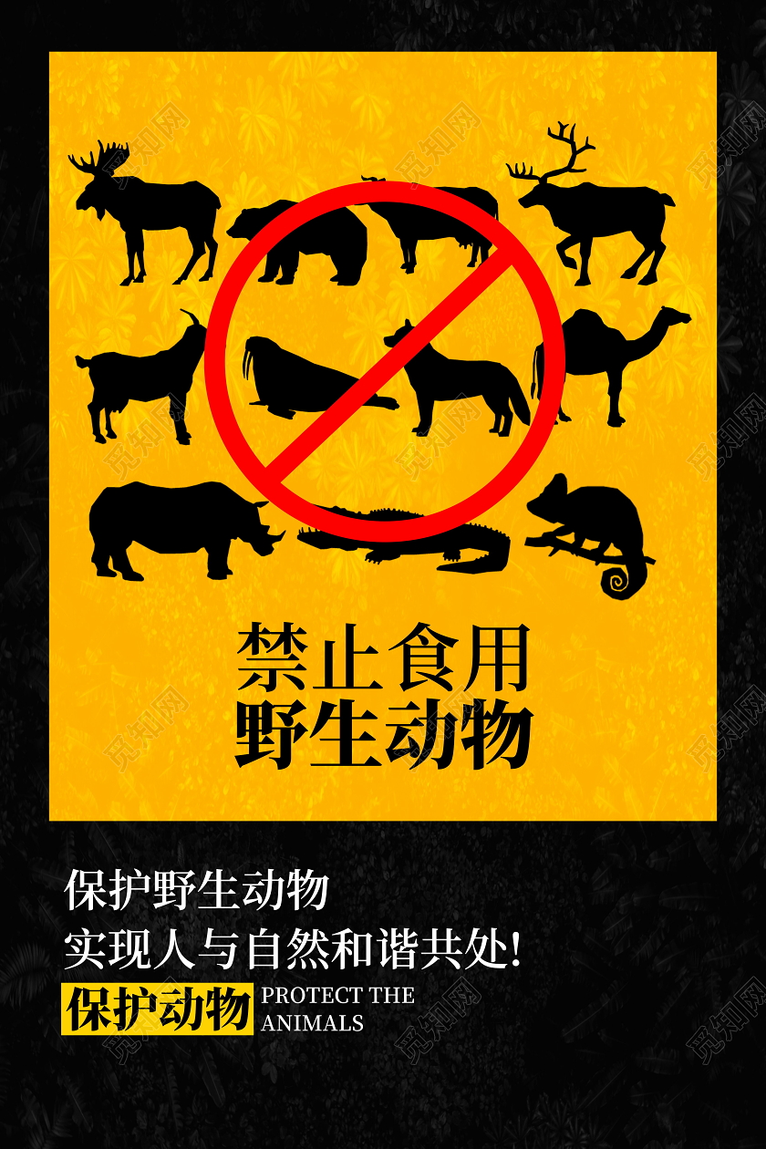拒绝食用野味保护野生动物人与自然和谐共处海报