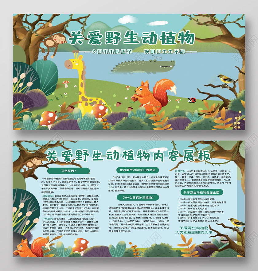 蓝色插画关爱世界野生动植物日内容展板