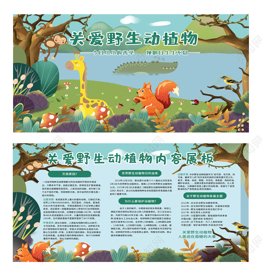 蓝色插画关爱世界野生动植物日内容展板
