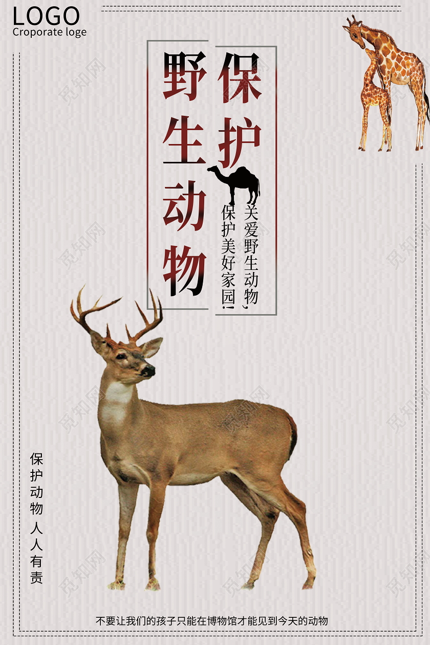 拒绝食用野味保护野生动物海报