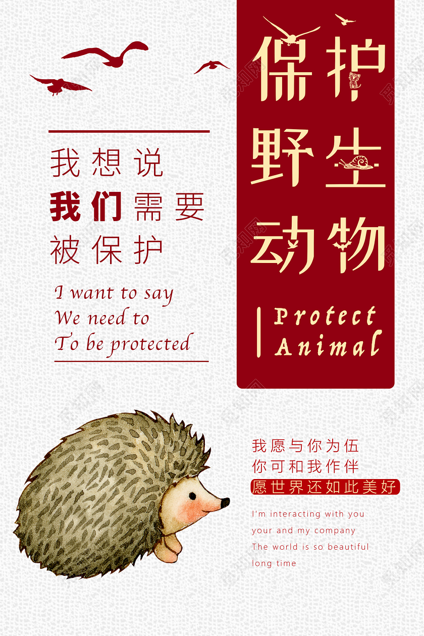 浅色大气插画保护野生动物海报拒绝食用野味保护野生动物