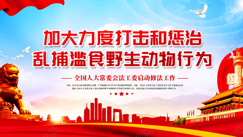 加大力度打击和惩治乱捕滥食野生动物行为党建党课展板拒绝食用野拒绝食用野味保护野生动物