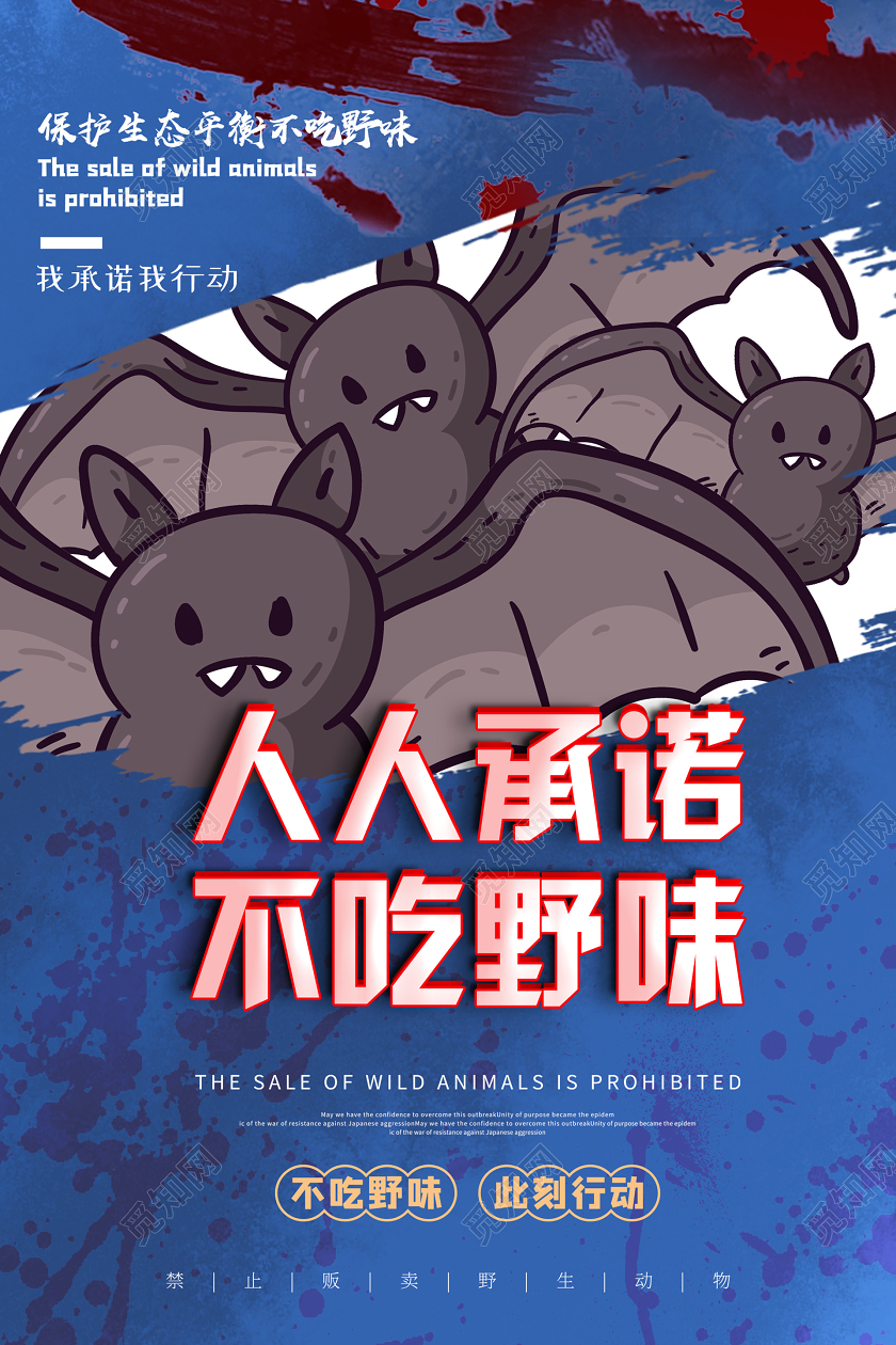 蓝色简约大气拒绝野味保护动物海报拒绝食用野味保护野生动物