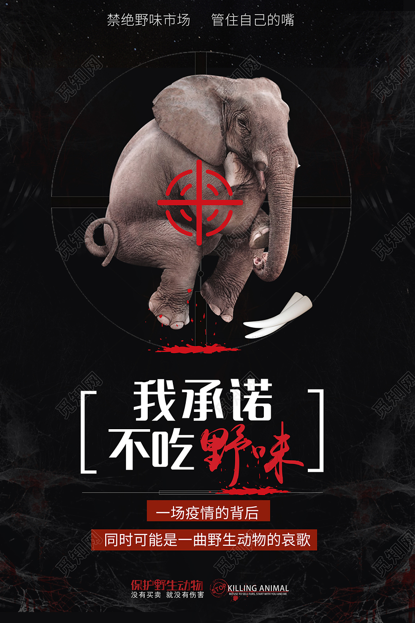 拒绝野味黑色创意我承诺不吃野味保护野生动物宣传海报