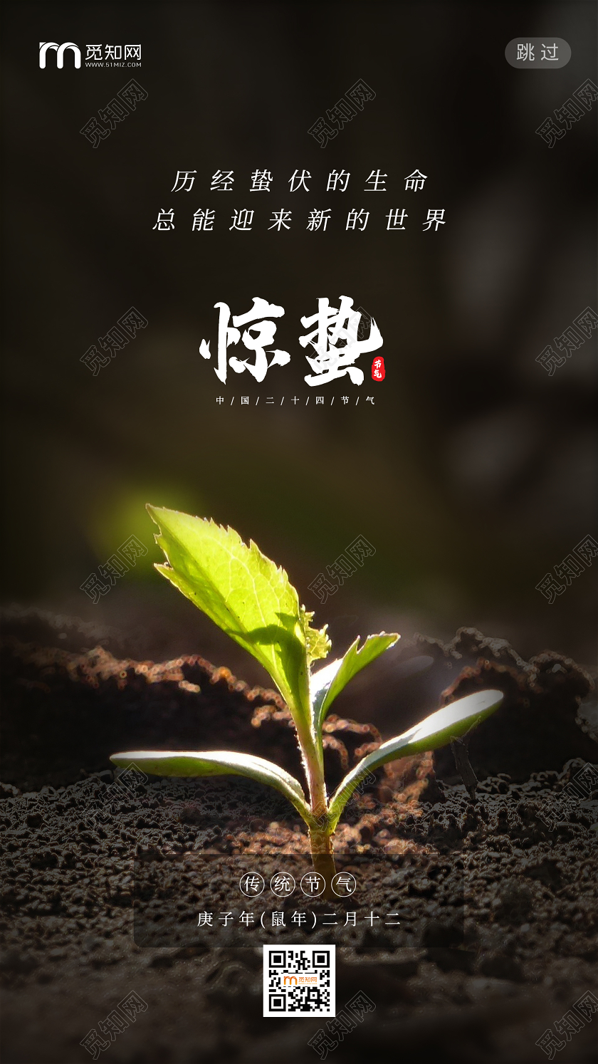 简约大气黑色系二十四节气惊蛰24节气ui手机海报
