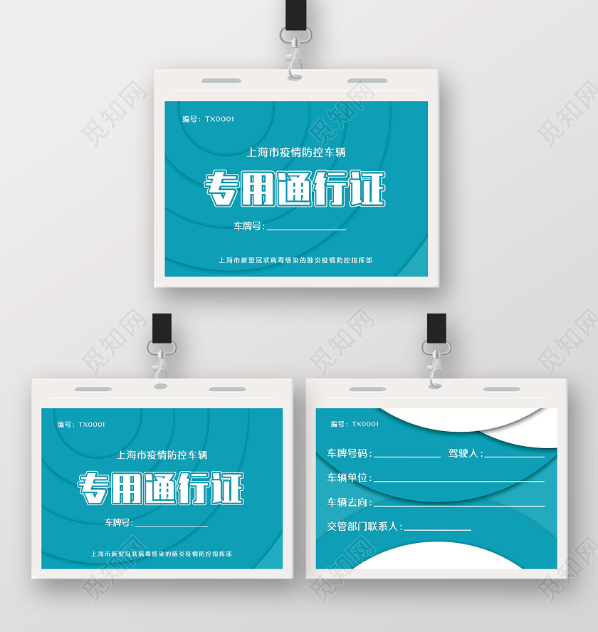 简约大气专用通行证车辆出入证通行证车辆出入通行证