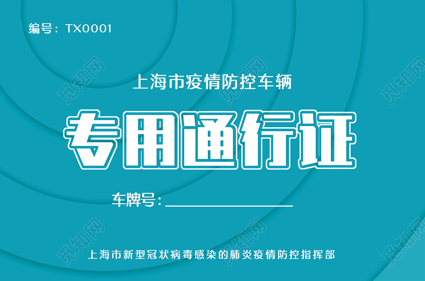 简约大气专用通行证车辆出入证通行证车辆出入通行证