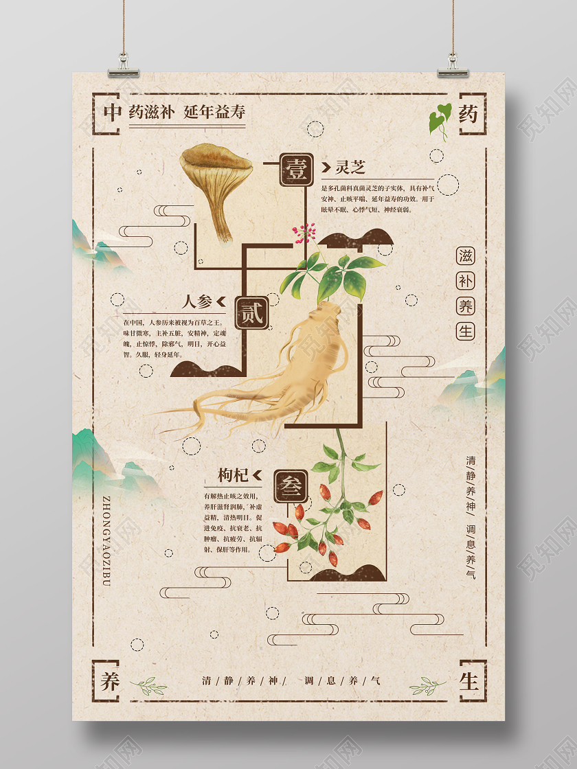 中医中草药养生复古中国风手绘插画海报