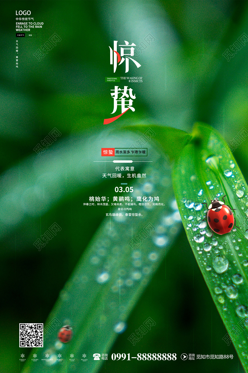 绿色创意简约中华传统二十四节气惊蛰节气宣传海报