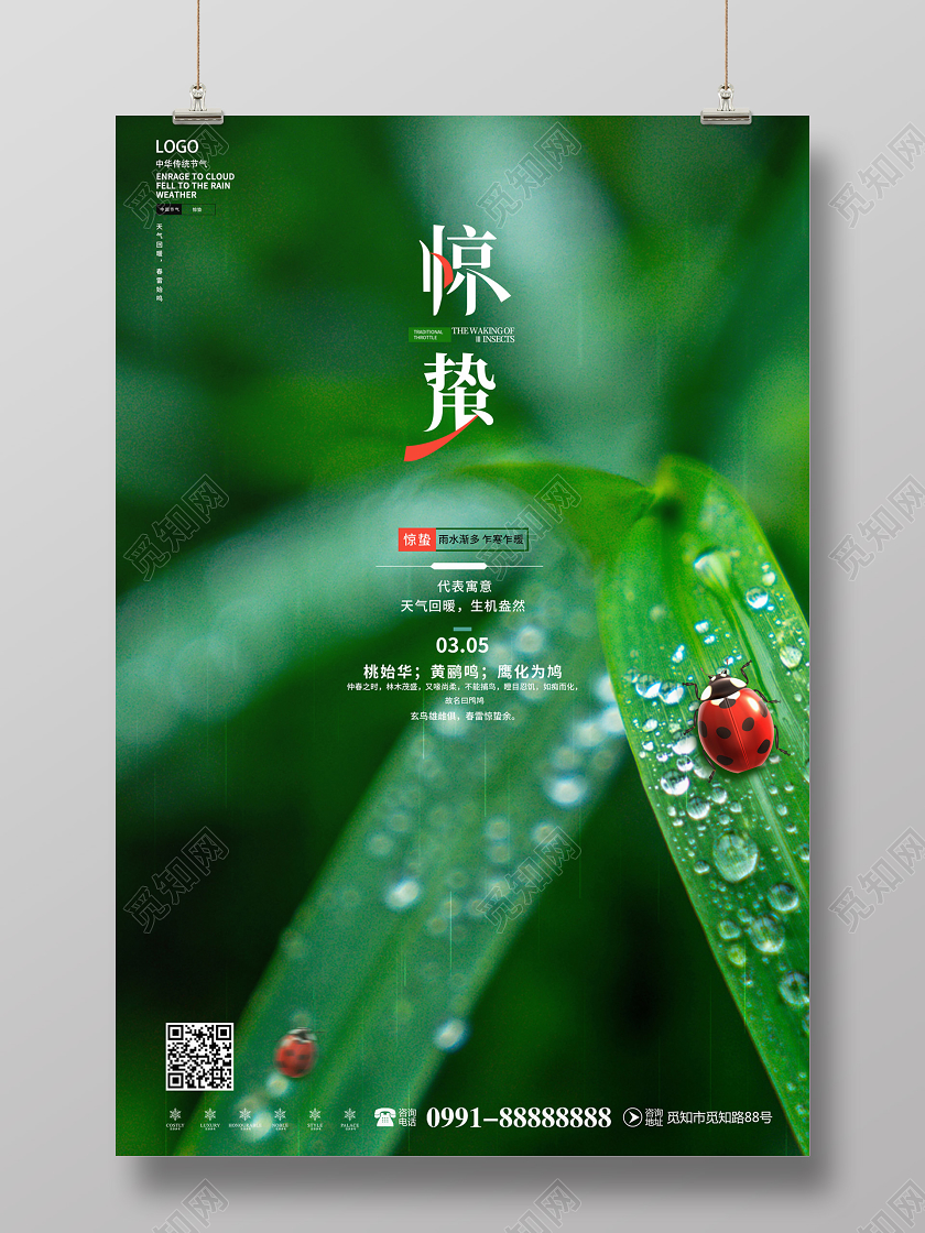 绿色创意简约中华传统二十四节气惊蛰节气宣传海报
