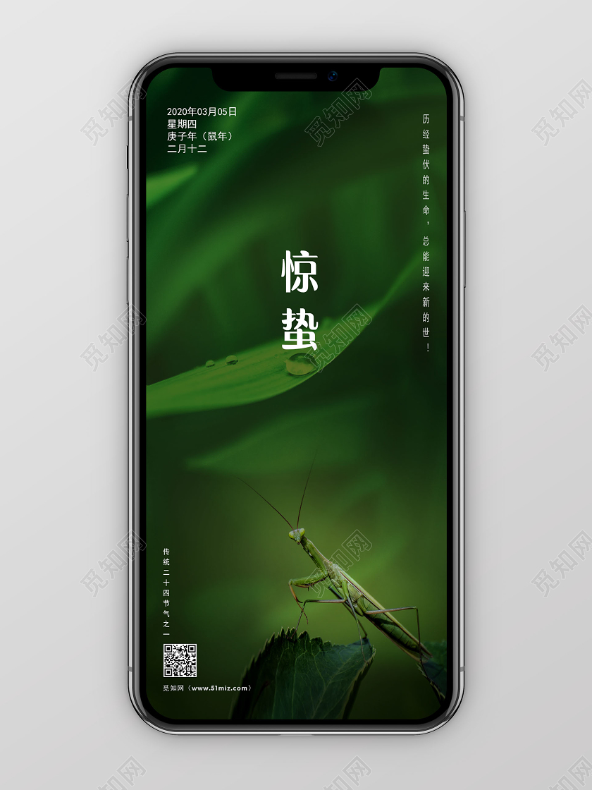 创意背景二十四节气惊蛰宣传海报