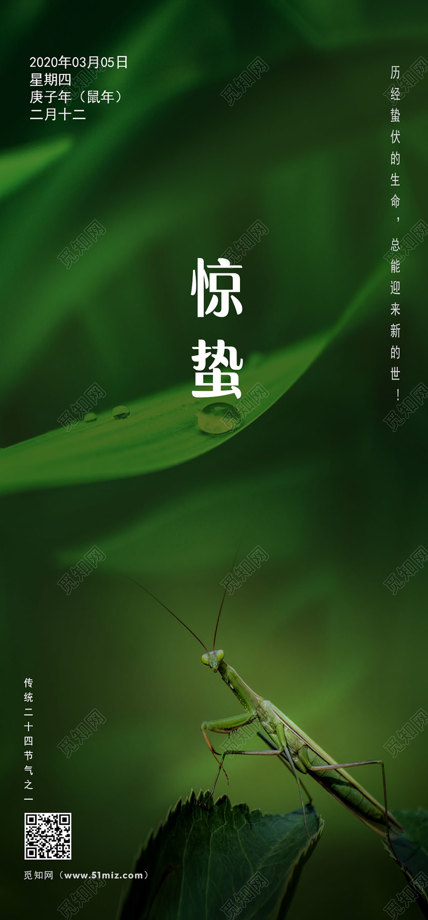 创意背景二十四节气惊蛰宣传海报