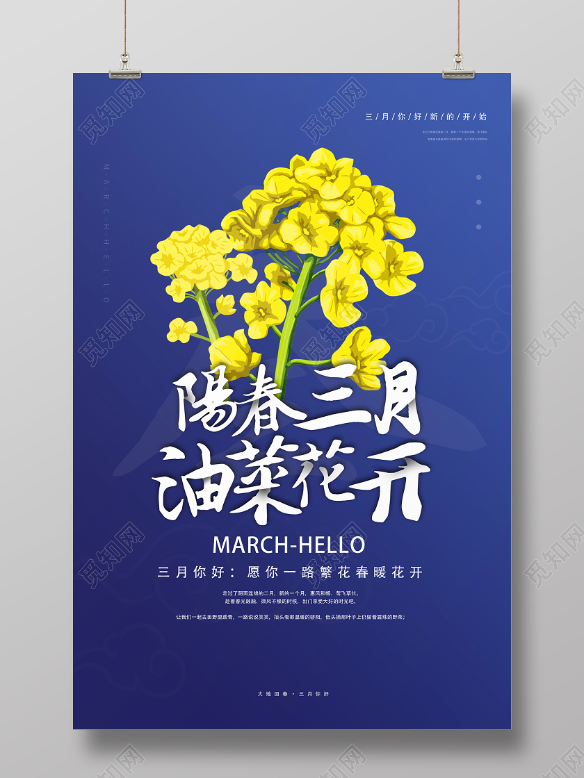 蓝色文艺风阳春三月油菜花开春天油菜花海报