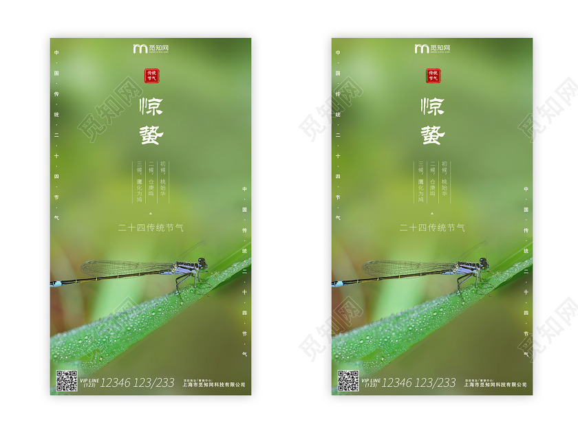 简约二十四节气昆虫惊蛰节日UI二十四节气惊蛰