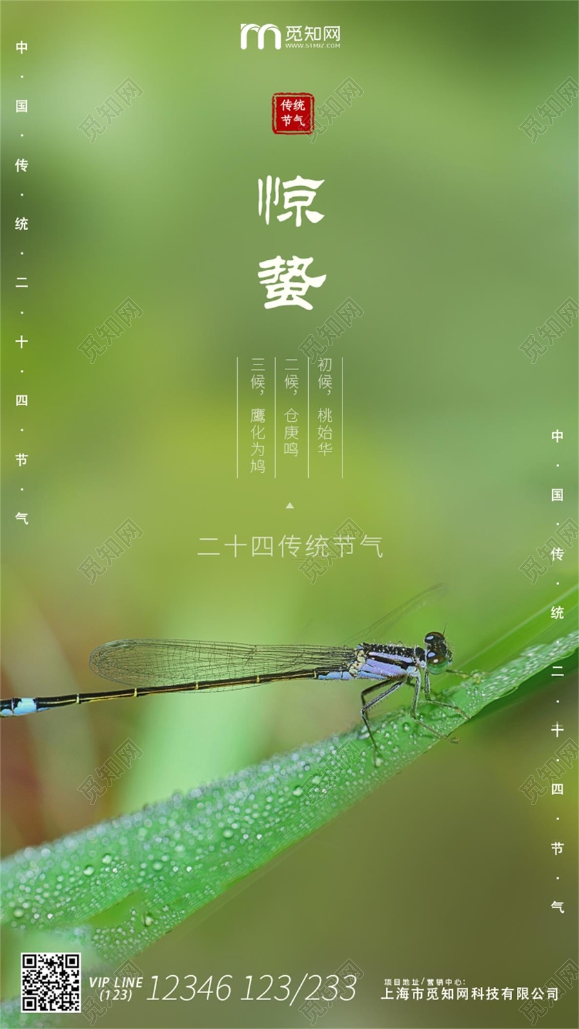 简约二十四节气昆虫惊蛰节日UI二十四节气惊蛰