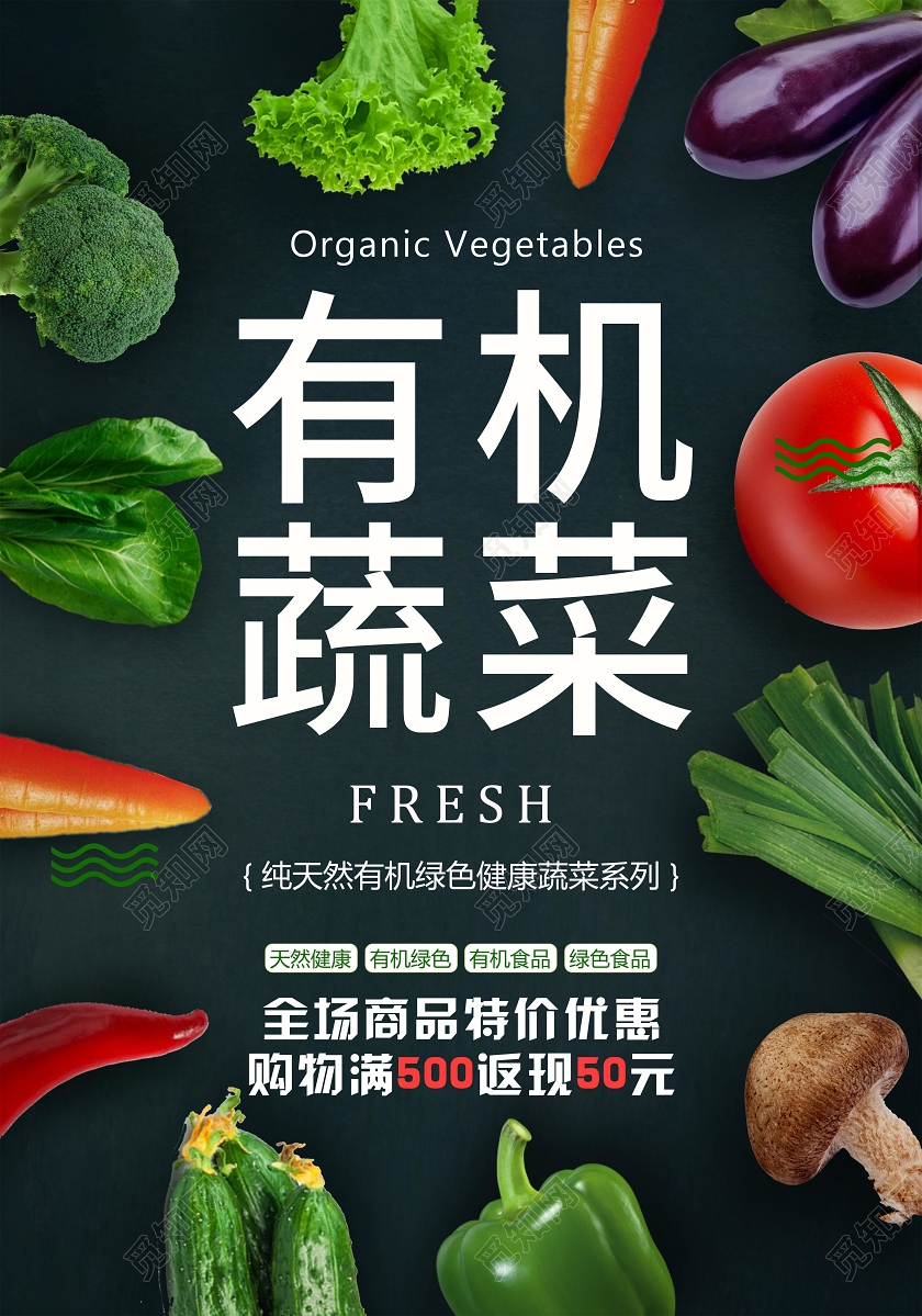 时尚有机蔬菜新鲜健康配送宣传单