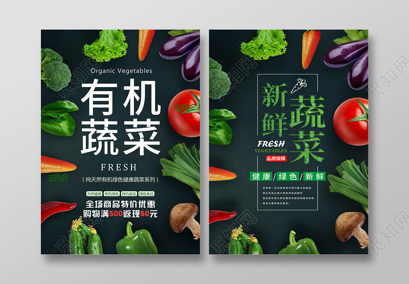 时尚有机蔬菜新鲜健康配送宣传单