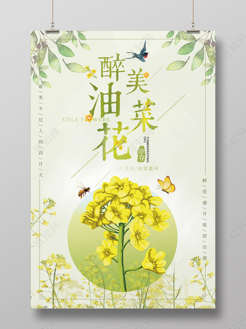 浅绿色小清新醉美油菜花春天油菜花海报