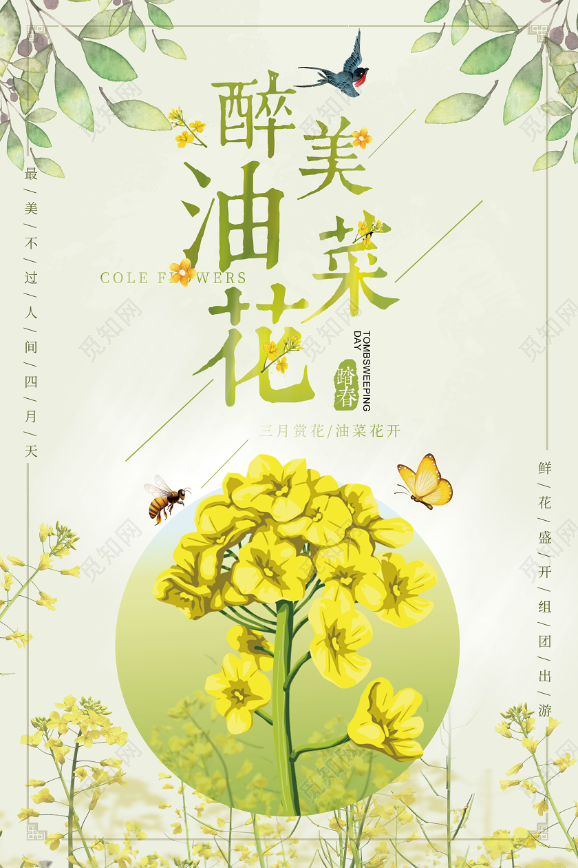 浅绿色小清新醉美油菜花春天油菜花海报