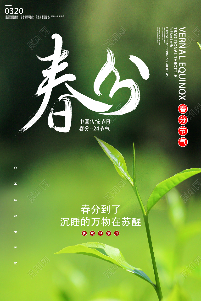 绿色小清新春分二十四节气春分海报