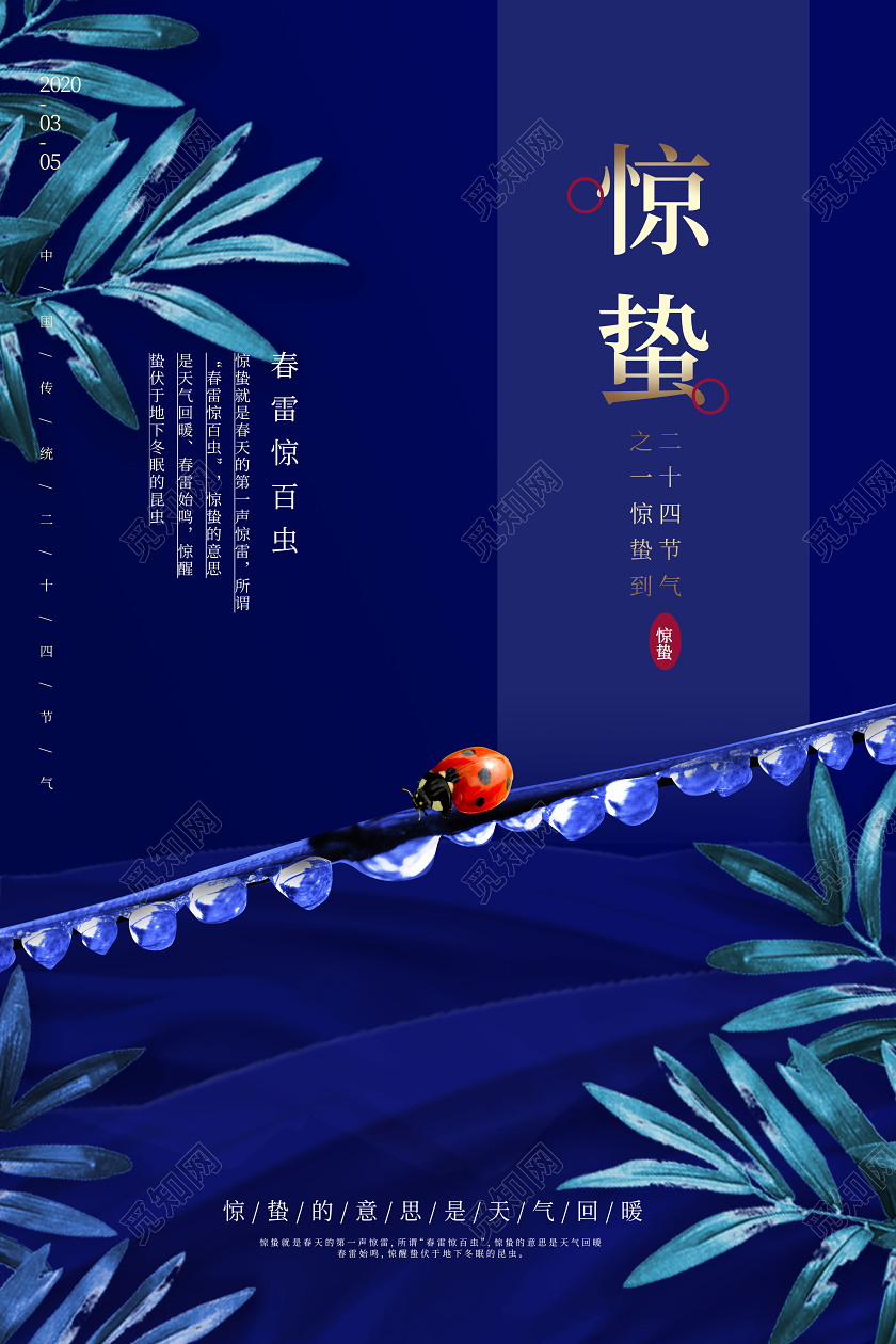 藏蓝色创意大气二十四节气惊蛰海报