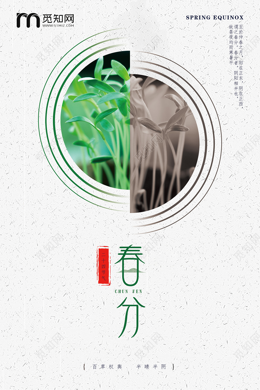 春分春分海报24节气海报春分植物