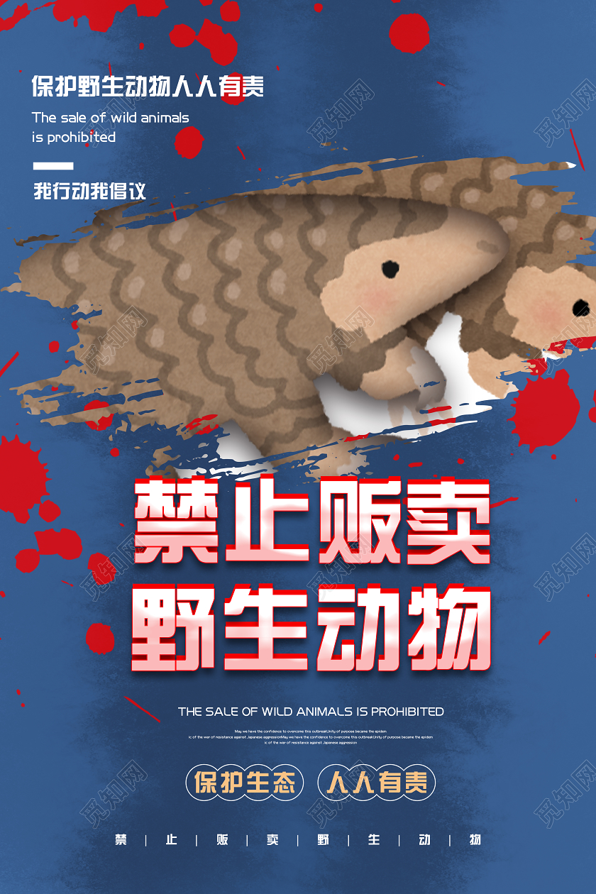 蓝色背景拒绝食用野味保护野生动物