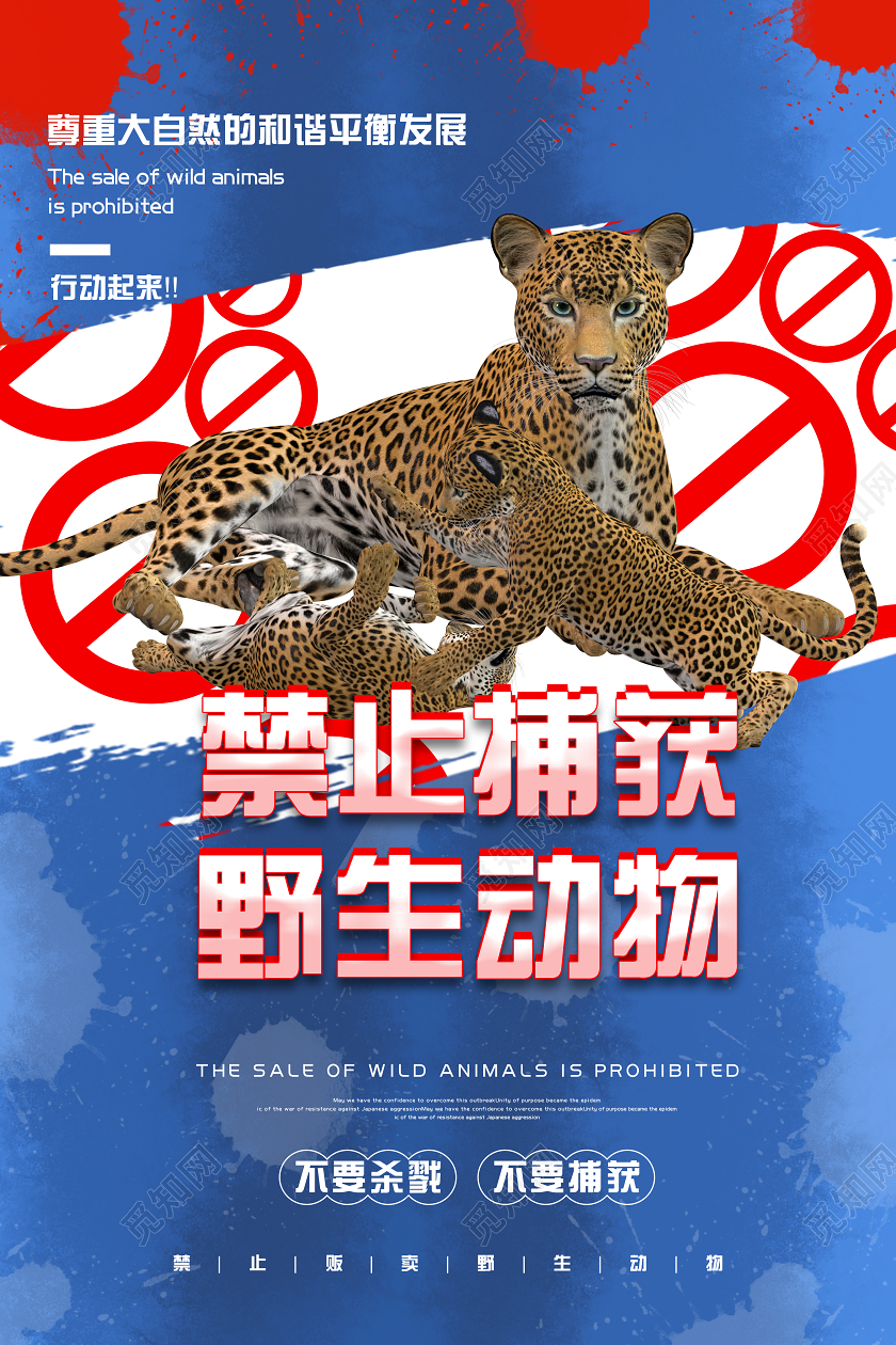 蓝色背景拒绝食用野味保护野生动物海报