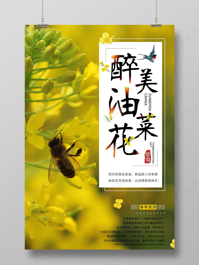 黄色简约醉美油菜花春季旅游赏花海报