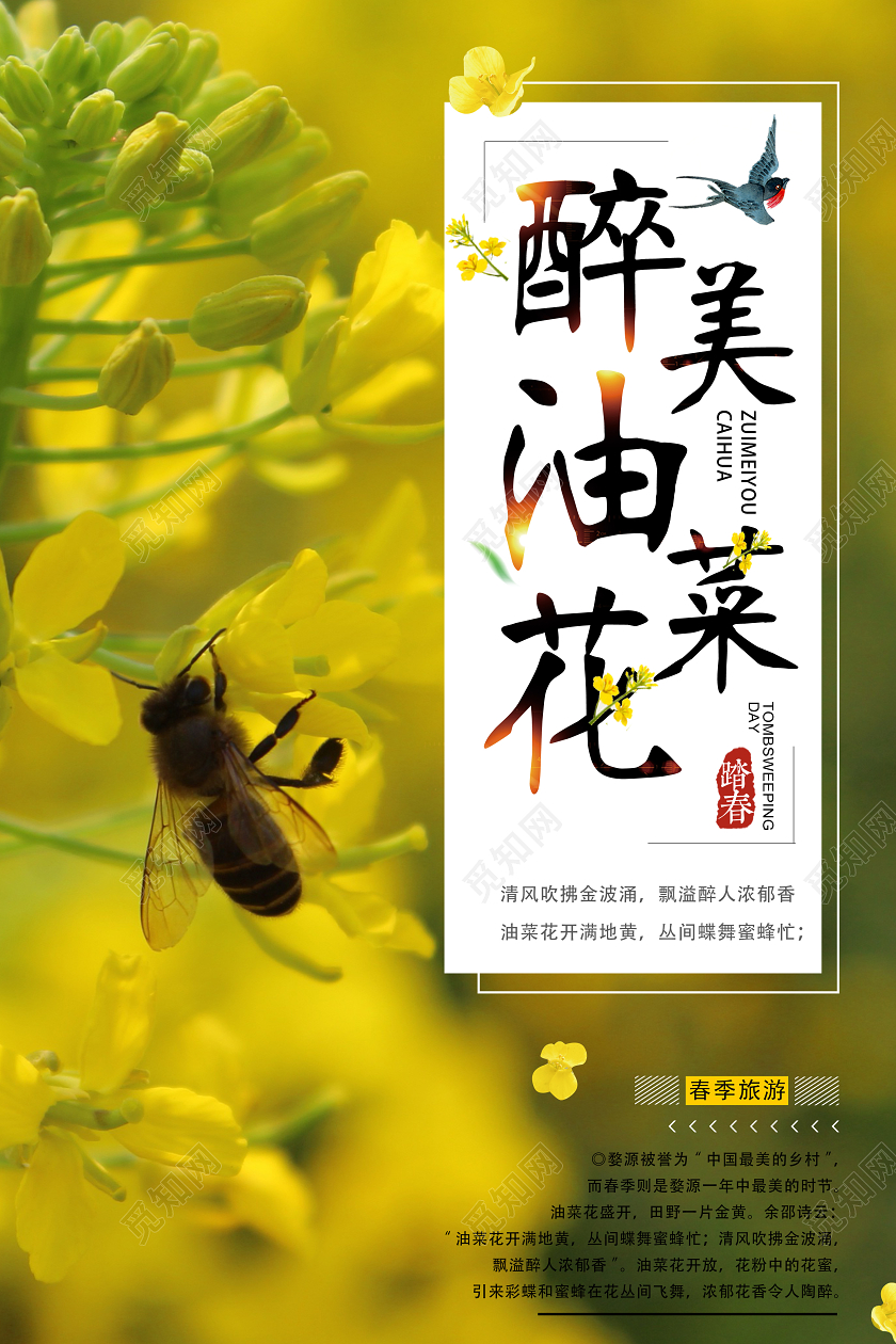 黄色简约醉美油菜花春季旅游赏花海报