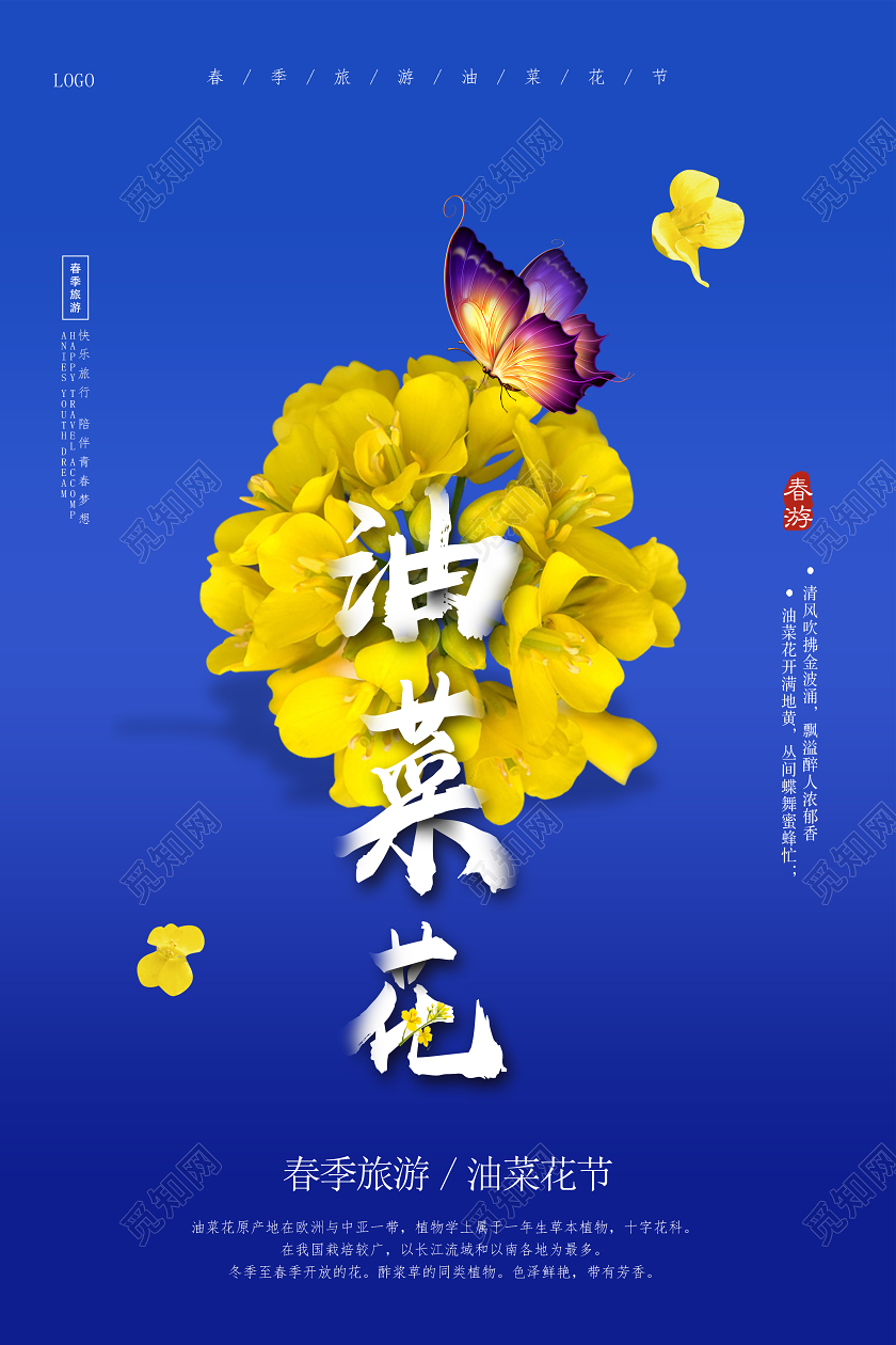 蓝色简约油菜花春季旅游油菜花节赏花海报