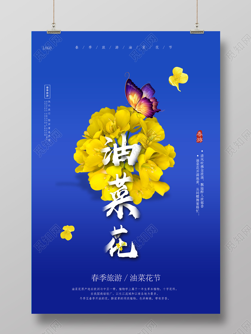 蓝色简约油菜花春季旅游油菜花节赏花海报